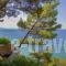 Vassilia_best deals_Hotel_Macedonia_Halkidiki_Kassandreia
