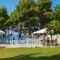Vassilia_best prices_in_Hotel_Macedonia_Halkidiki_Kassandreia