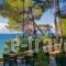 Vassilia_holidays_in_Hotel_Macedonia_Halkidiki_Kassandreia