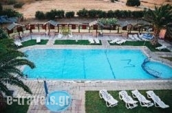 Sea View Studios_s __1
