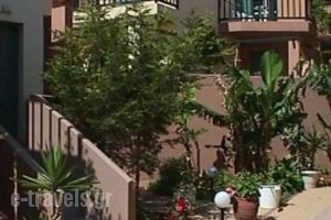 Pelamare_best prices_in_Hotel_Crete_Heraklion_Vathianos Kambos