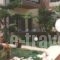 Pelamare_lowest prices_in_Hotel_Crete_Heraklion_Vathianos Kambos