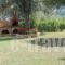 Heliactida House_best deals_Hotel_Macedonia_Halkidiki_Ormos Panagias