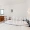 Fivos Apartments_best deals_Apartment_Cyclades Islands_Antiparos_Antiparos Rest Areas