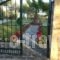 Heliactida House_accommodation_in_Hotel_Macedonia_Halkidiki_Ormos Panagias