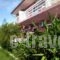 Eleni Studios & Apartments_best prices_in_Apartment_Ionian Islands_Zakinthos_Katastari