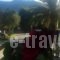 Eleni Studios & Apartments_holidays_in_Apartment_Ionian Islands_Zakinthos_Katastari