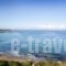 Ploes Villas_lowest prices_in_Villa_Peloponesse_Ilia_Pyrgos