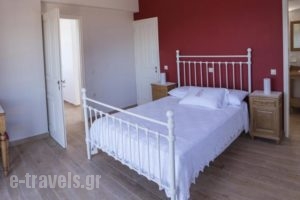 Villa Alico BSV_best prices_in_Villa_Ionian Islands_Zakinthos_Zakinthos Rest Areas