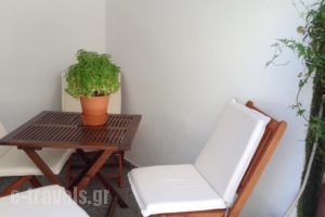 Twin House_holidays_in_Hotel_Piraeus Islands - Trizonia_Spetses_Spetses Chora