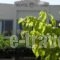 Falassarna Hotel_accommodation_in_Hotel_Crete_Chania_Daratsos