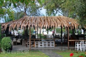 Akti Retzika_best prices_in_Hotel_Macedonia_Thessaloniki_Thessaloniki City