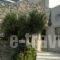 Pelican Hotel_accommodation_in_Hotel_Cyclades Islands_Mykonos_Mykonos Chora