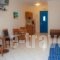 Blue Waves Studios_best deals_Hotel_Dodekanessos Islands_Karpathos_Karpathosora