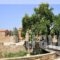 Archontiko Riziko_best deals_Hotel_Aegean Islands_Chios_Chios Rest Areas
