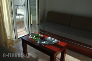 Anavra Studios_best prices_in_Hotel_Ionian Islands_Lefkada_Sivota