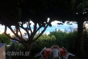 Despoina Apartments_lowest prices_in_Apartment_Crete_Heraklion_Viannos