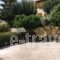 Despoina Apartments_best deals_Apartment_Crete_Heraklion_Viannos