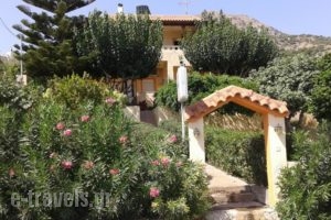 Despoina Apartments_holidays_in_Apartment_Crete_Heraklion_Viannos