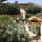 Despoina Apartments_holidays_in_Apartment_Crete_Heraklion_Viannos