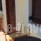 Villa Park Holiday Rooms_best deals_Villa_Peloponesse_Arcadia_Astros