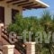 Villa Park Holiday Rooms_travel_packages_in_Peloponesse_Arcadia_Astros