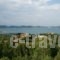 Thea Guesthouse_lowest prices_in_Hotel_Thessaly_Karditsa_Neochori