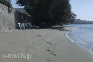 Nemesis Studios_holidays_in_Hotel_Cyclades Islands_Tinos_Tinos Rest Areas