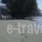 Nemesis Studios_holidays_in_Hotel_Cyclades Islands_Tinos_Tinos Rest Areas