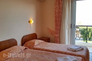 Anetis Hotel_travel_packages_in_Ionian Islands_Zakinthos_Zakinthos Rest Areas