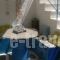 Akteon Hotel_accommodation_in_Hotel_Cyclades Islands_Paros_Paros Chora
