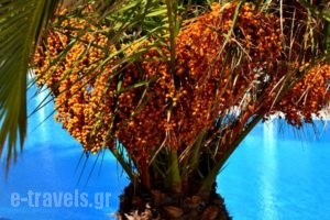 Zephyros_best deals_Hotel_Cyclades Islands_Sandorini_Sandorini Chora