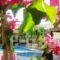 Helios Apartments_best prices_in_Apartment_Crete_Chania_Daratsos