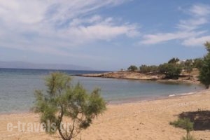 Villa San Dimitrio_lowest prices_in_Villa_Cyclades Islands_Paros_Paros Chora