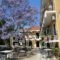 Marie Hotel_best deals_Hotel_Ionian Islands_Corfu_Acharavi