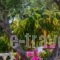 Thanos Village_travel_packages_in_Thessaly_Magnesia_Pilio Area