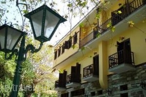 Pelias Hotel_best deals_Hotel_Thessaly_Magnesia_Portaria