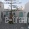 Astoria Apartments_holidays_in_Apartment_Cyclades Islands_Paros_Naousa