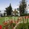Robinson Club Daidalos_best deals_Hotel_Dodekanessos Islands_Kos_Kos Rest Areas
