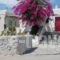 Astoria Apartments_accommodation_in_Apartment_Cyclades Islands_Paros_Naousa