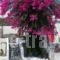Astoria Apartments_travel_packages_in_Cyclades Islands_Paros_Naousa