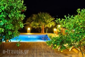 Villa Domenico_holidays_in_Villa_Crete_Chania_Sfakia