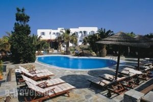 Zephyros_best prices_in_Apartment_Macedonia_Halkidiki_Polychrono