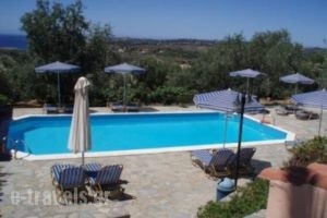 Manolia Studios & Apartments_lowest prices_in_Room_Ionian Islands_Kefalonia_Mousata