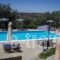 Manolia Studios & Apartments_lowest prices_in_Room_Ionian Islands_Kefalonia_Mousata