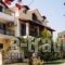 Tzanetos Studios_best deals_Room_Ionian Islands_Zakinthos_Laganas