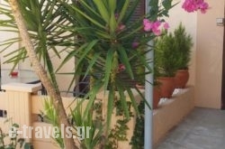Alexandros Studios & Apartments_s __1