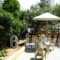 Alexandros Studios & Apartments_best deals_Apartment_Crete_Chania_Galatas