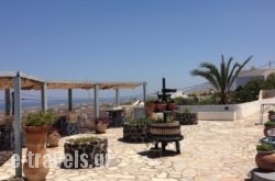 Santorini Villas " Traditional House"_s __1