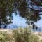 Santorini Villas " Traditional House"_best deals_Villa_Cyclades Islands_Sandorini_Imerovigli